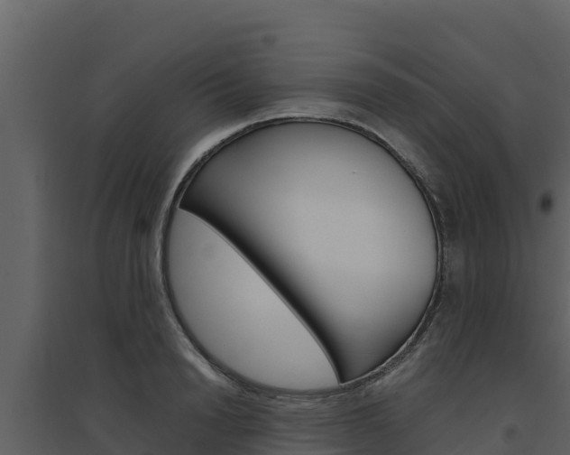 X0000094800846200711160939