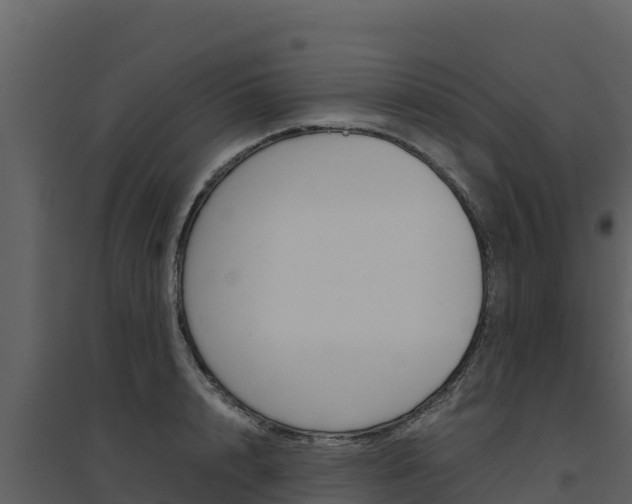 X0000094800848200711160939