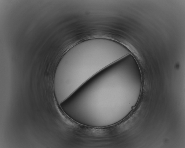 X0000094800849200711160939