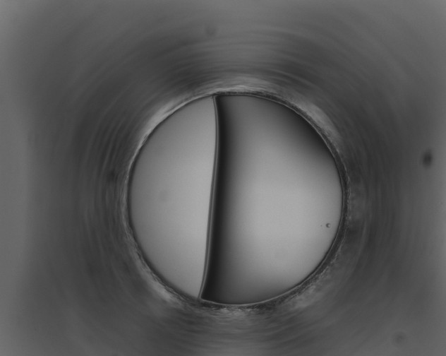 X0000094800850200711160939