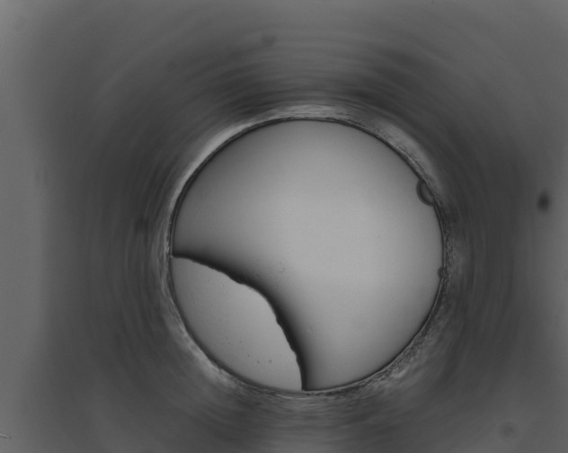 X0000094800852200711160939
