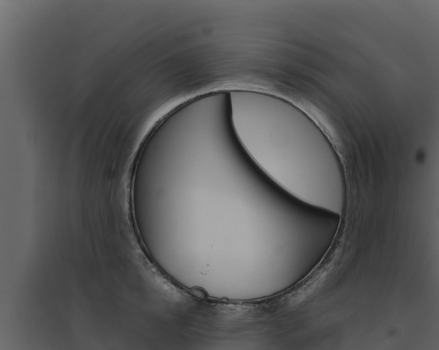 X0000094800854200711160939
