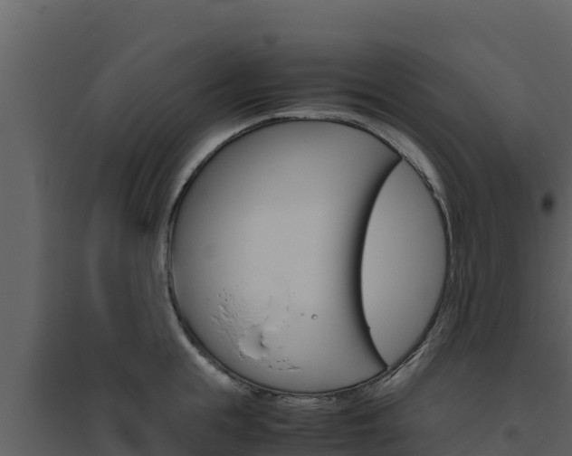 X0000094800855200711160939
