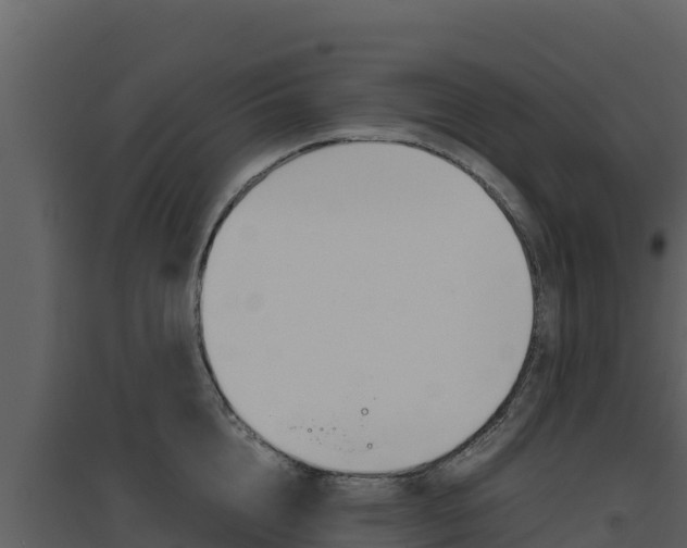 X0000094800856200711160939