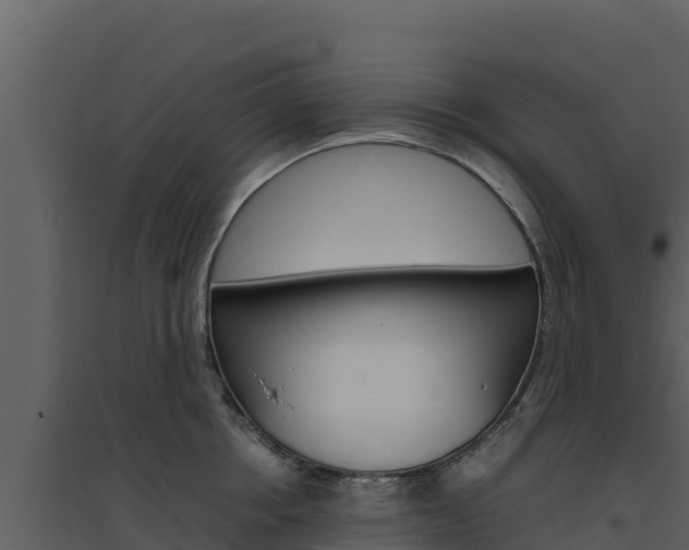 X0000094800858200711160939