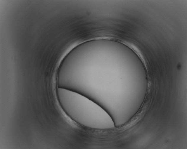 X0000094800859200711160939