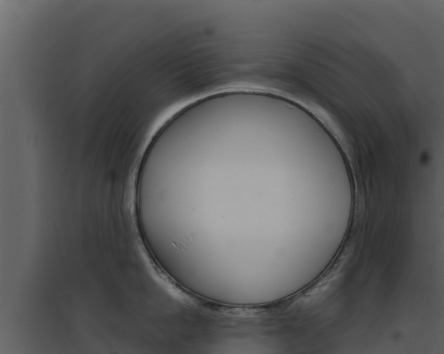X0000094800862200711160939
