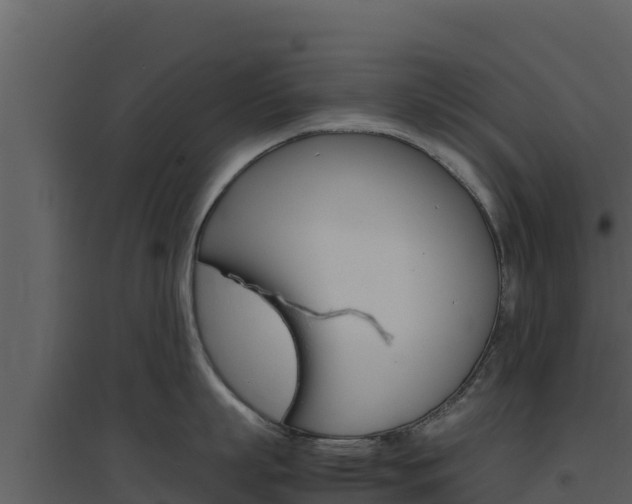 X0000094800863200711160939