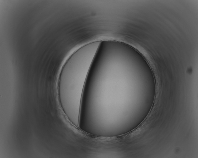 X0000094800864200711160939
