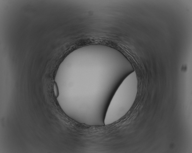 X0000094800865200711160938