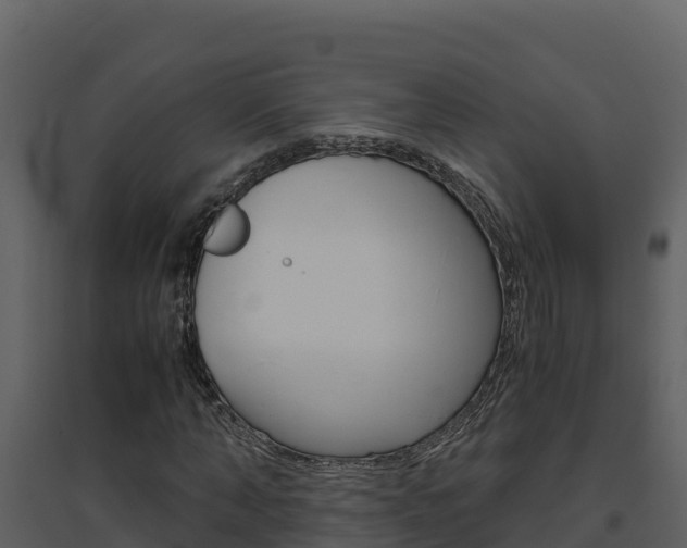 X0000094800870200711160938