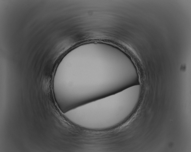 X0000094800873200711160938