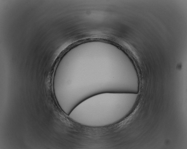 X0000094800875200711160938