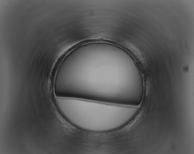 X0000094800876200711160938