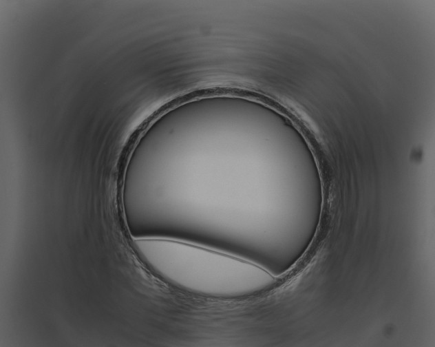 X0000094800877200711160938