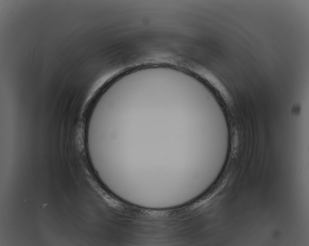 X0000094800878200711160938