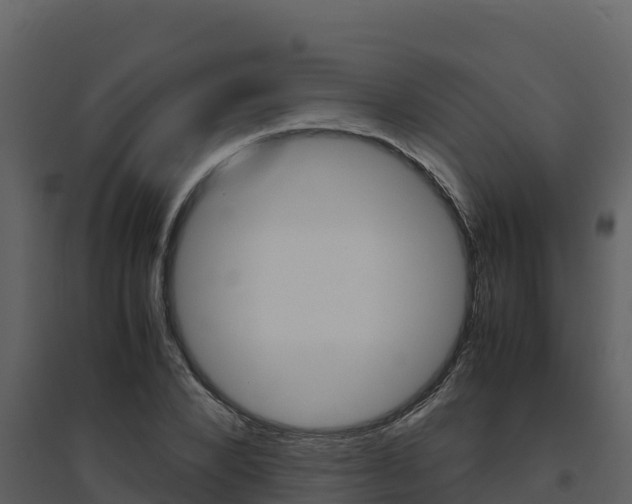X0000094800880200711160938
