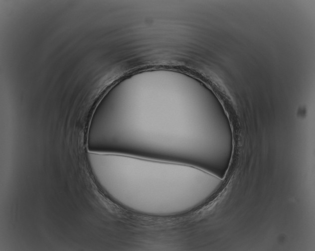 X0000094800881200711160938