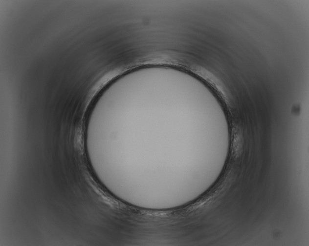 X0000094800882200711160938