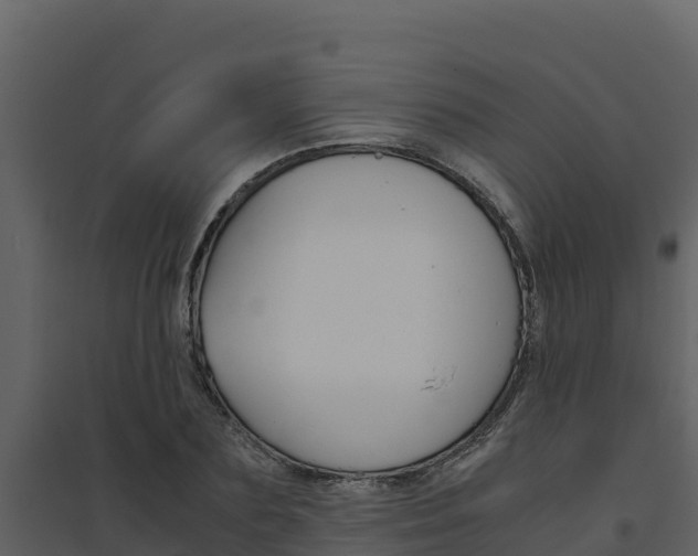X0000094800883200711160938