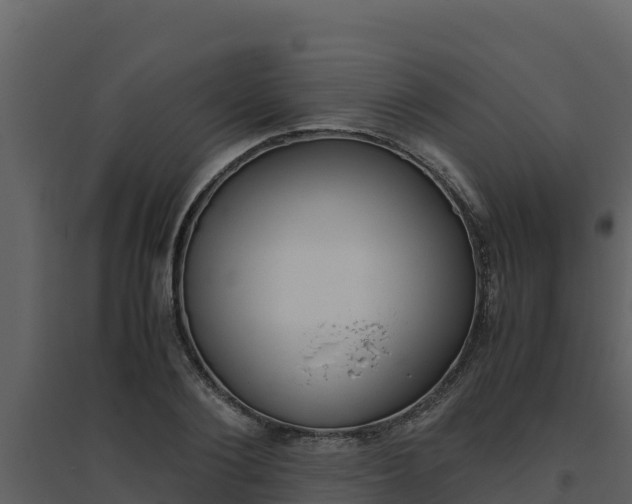 X0000094800884200711160938