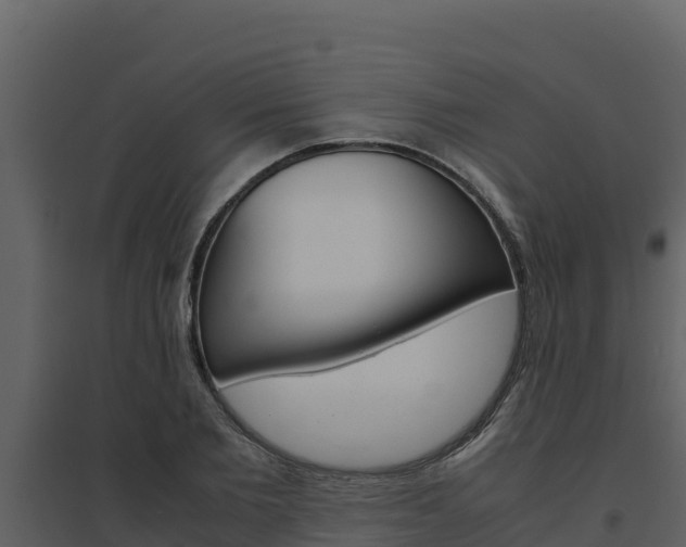 X0000094800885200711160938