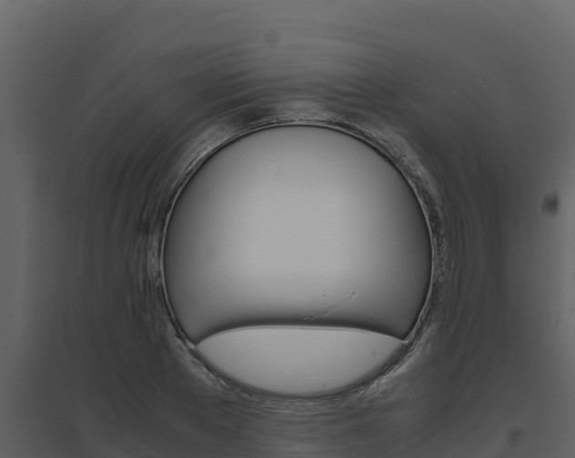 X0000094800889200711160938