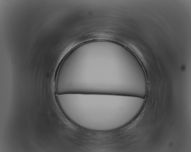 X0000094800891200711160938