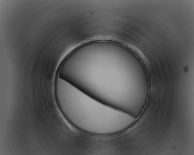 X0000094800894200711160938