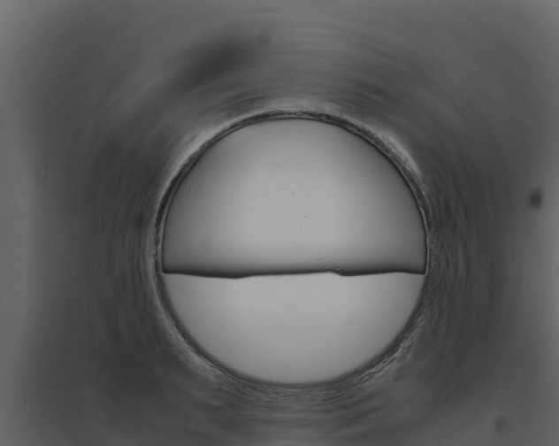 X0000094800895200711160938
