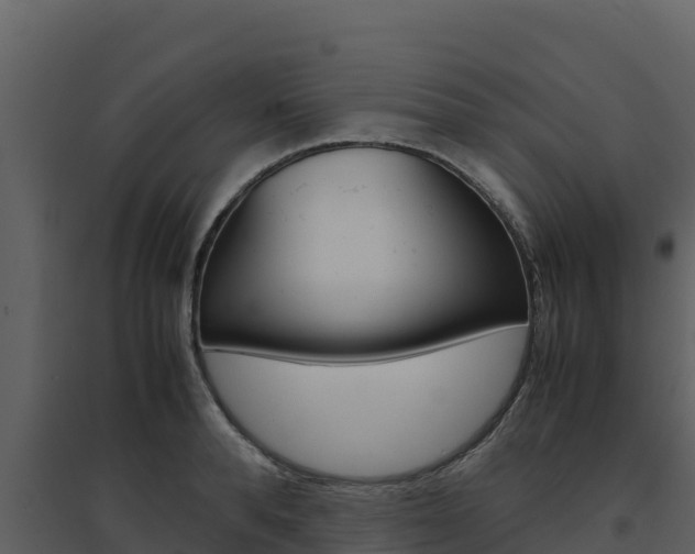 X0000094800896200711160938