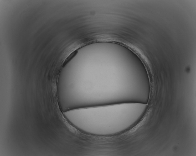 X0000094800897200711160938