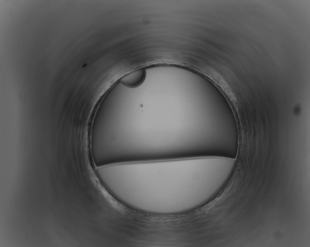 X0000094800898200711160938