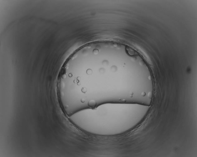 X0000094800899200711160938