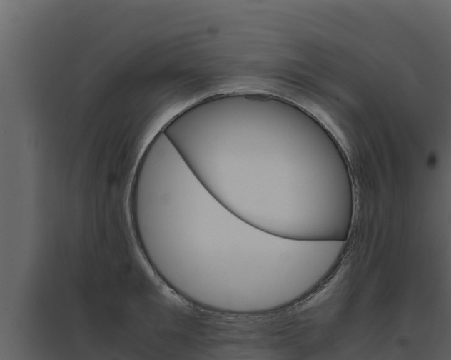 X0000094800901200711160938