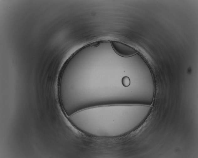X0000094800902200711160938