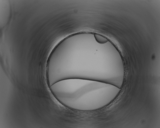 X0000094800903200711160938