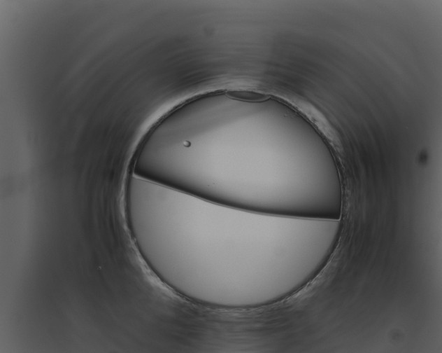 X0000094800904200711160938