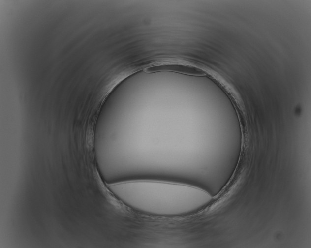X0000094800905200711160938
