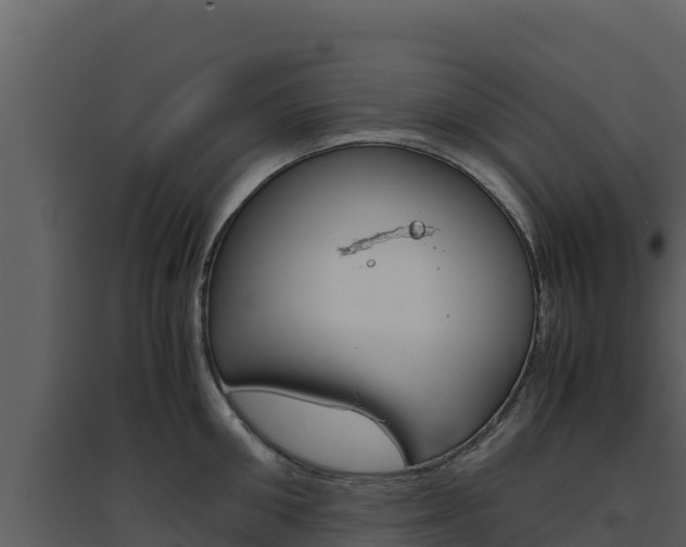 X0000094800906200711160938
