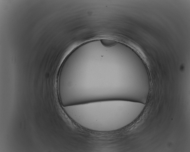 X0000094800907200711160938
