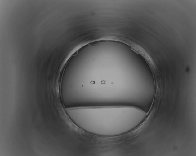 X0000094800908200711160938