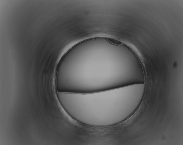 X0000094800910200711160938