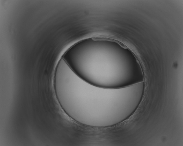 X0000094800912200711160938