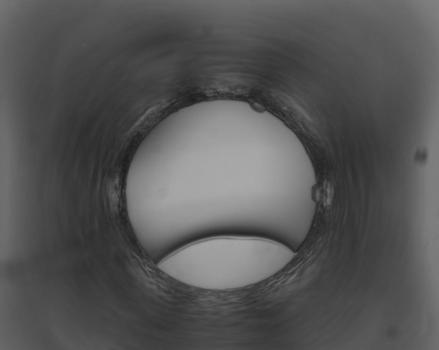 X0000094800915200711160937