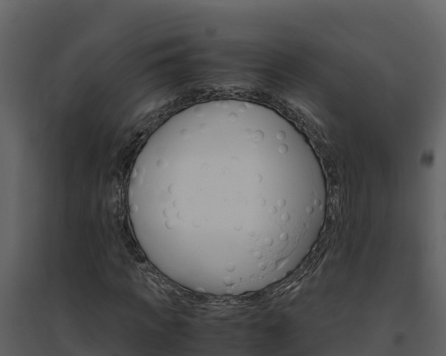 X0000094800917200711160937