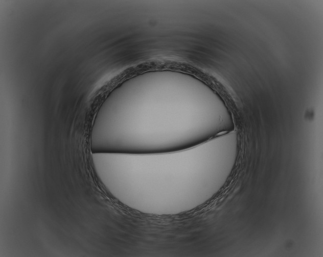 X0000094800919200711160937
