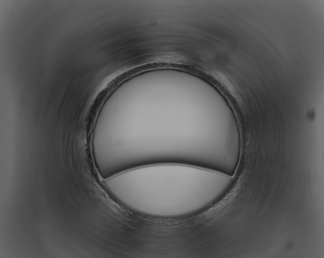 X0000094800923200711160937