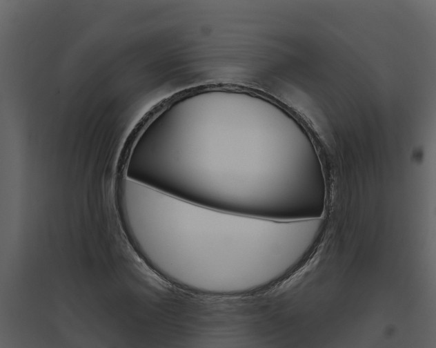 X0000094800924200711160937