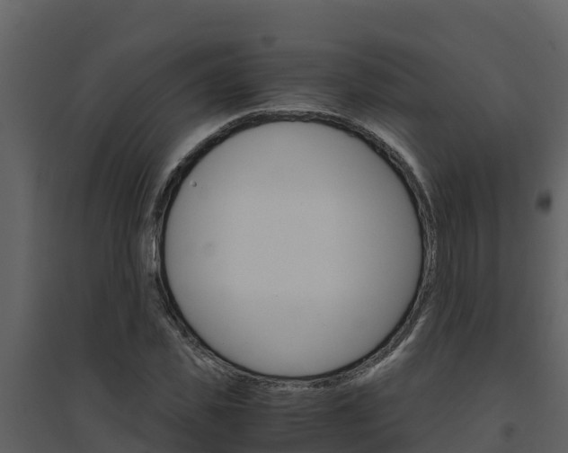 X0000094800925200711160937